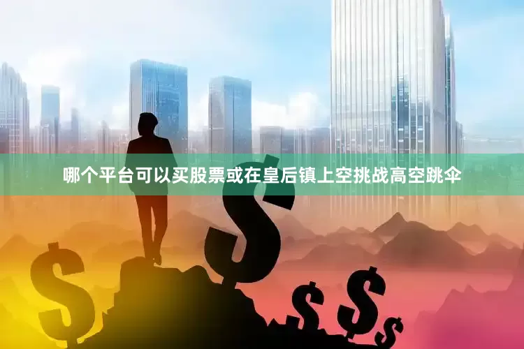 哪个平台可以买股票或在皇后镇上空挑战高空跳伞