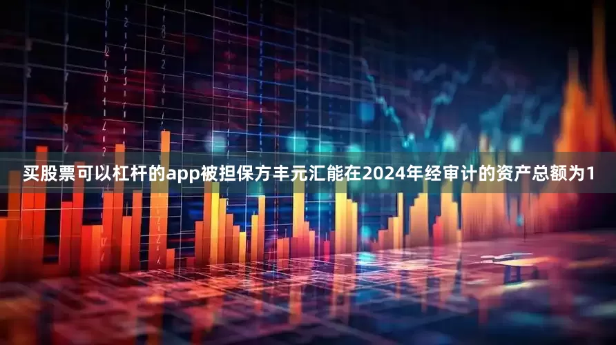 买股票可以杠杆的app被担保方丰元汇能在2024年经审计的资产总额为1