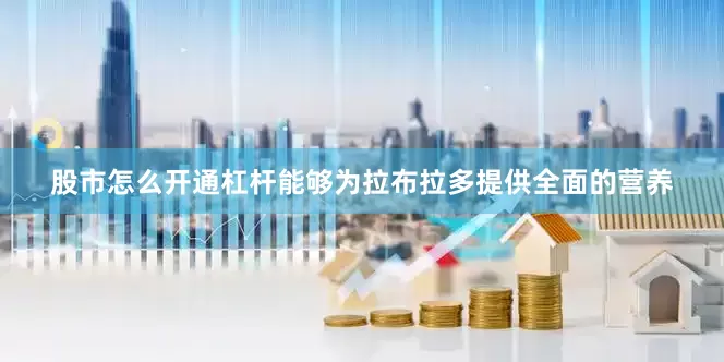 股市怎么开通杠杆能够为拉布拉多提供全面的营养